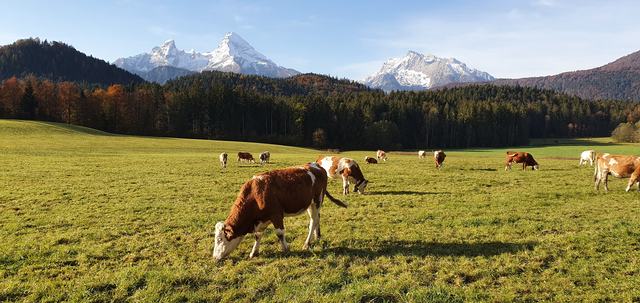 Watzmann Herbst