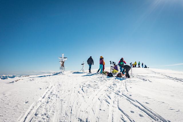 Am Gipfel des Schneibstein
